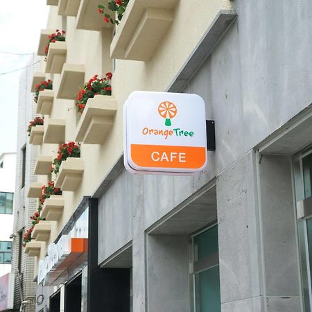 オレンジ ツリー ホテル 済州市 エクステリア 写真