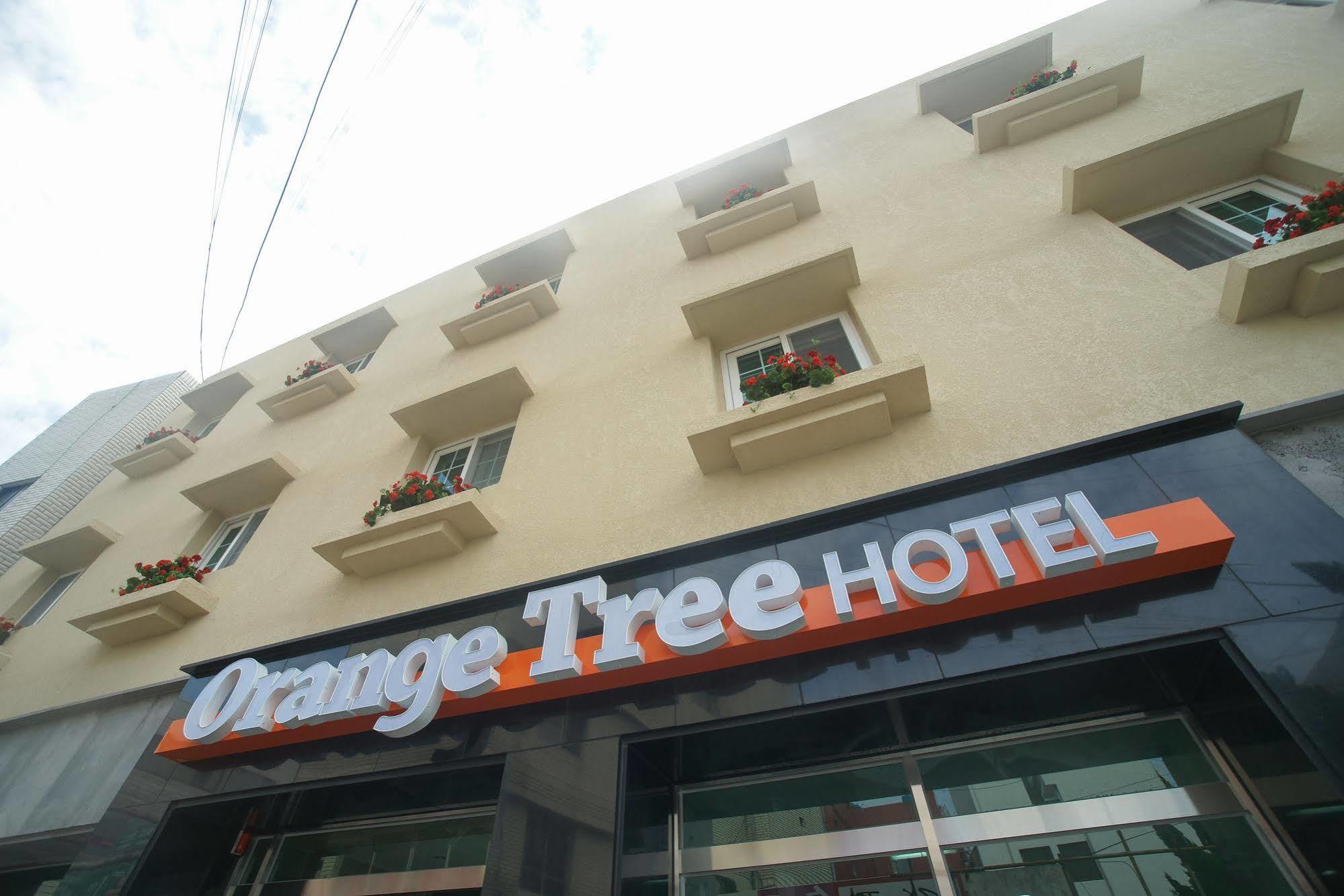 オレンジ ツリー ホテル 済州市 エクステリア 写真